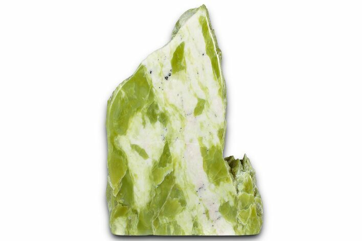 Free-Standing Polished Noble Serpentine - Washington #353772